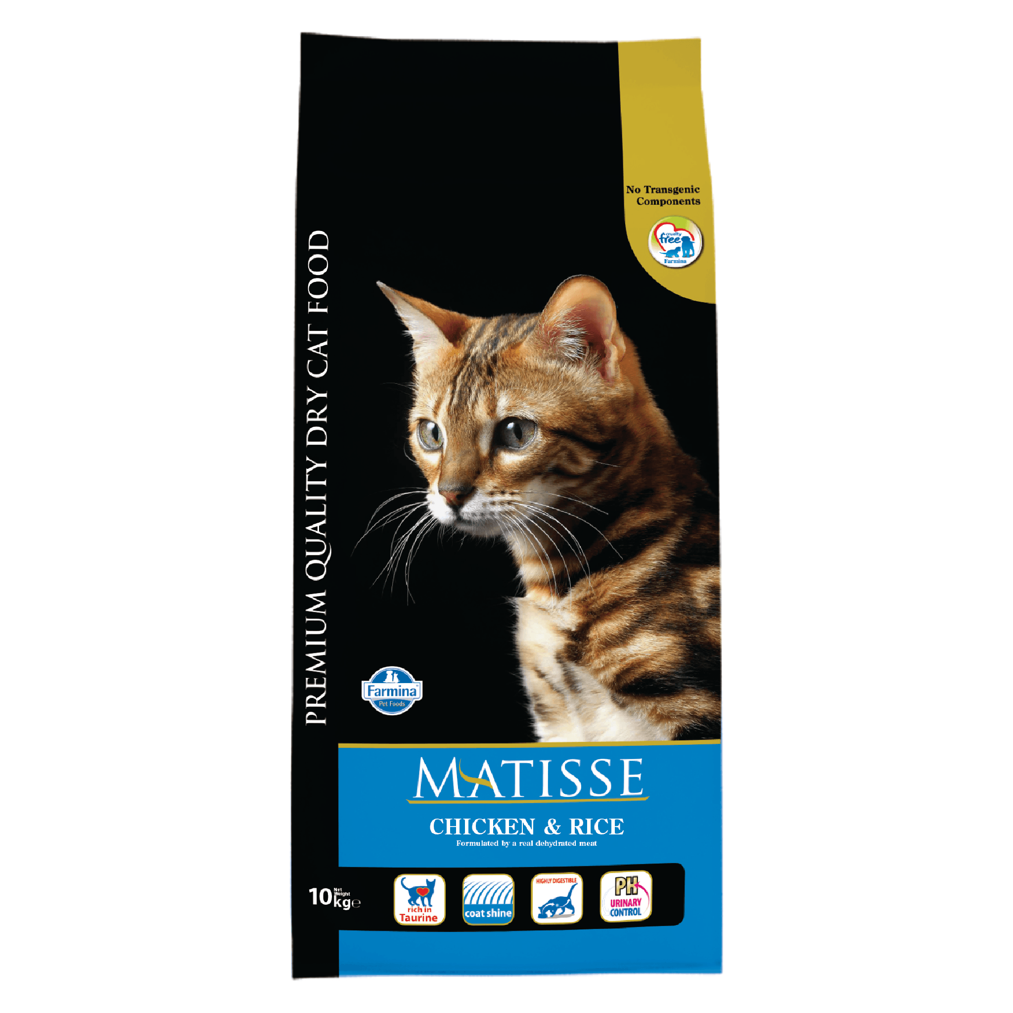 Matisse Kitten - Image 2